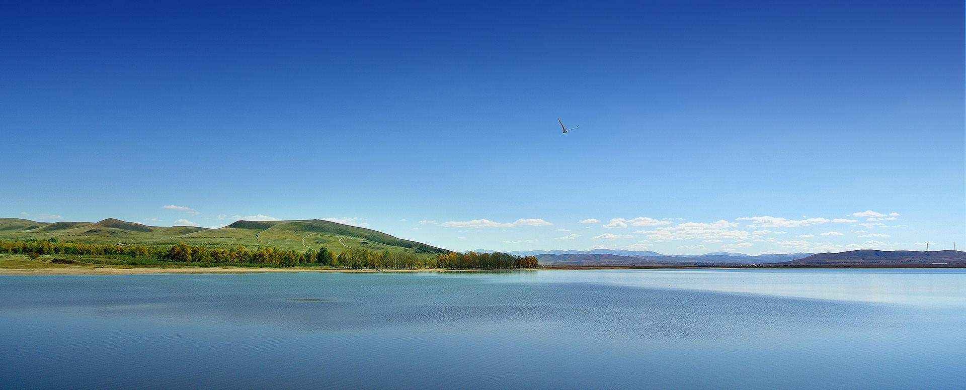 pg电子游戏试玩|新报跑狗|PG电子官方网站